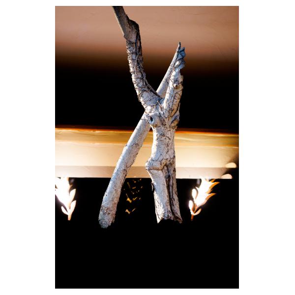 PHOTO84, CLUB, 84 , LUBERON